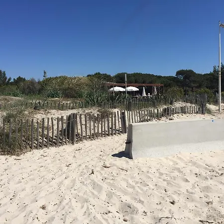 Entre Et Διαμέρισμα La Seyne-sur-Mer