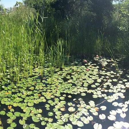 Entre Et شقة لا سين سور مير